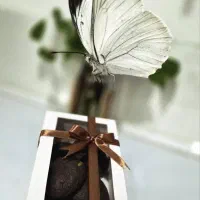کوکی خانگی با عطری دلنشین