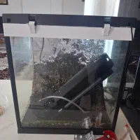 آکواریوم k390 دلسا