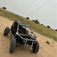باگی ۴چرخ ماشین