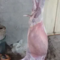 گوشت کهره و بره