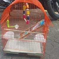 دو عدد قفس نو.  استفاده نشده