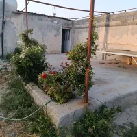 زمین باغی در حیطه طلا چناران