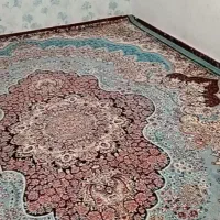 قالی ۱۲ متری