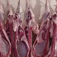 گوشت|خوردنی و آشامیدنی|همدان, |دیوار