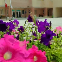 استخدام نیروی آزاد و بازنشسته آقا