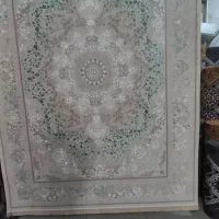 فرش|فرش|بندرعباس, |دیوار