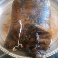 روغن حیوانی