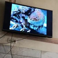 دو عدد تلویزیون ال جی