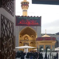 سالمند خود را بسپارید
