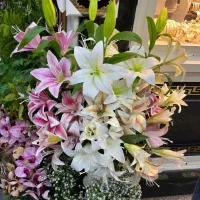کیک|خوردنی و آشامیدنی|رشت, گلسار|دیوار