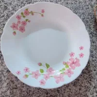 ارکوپال