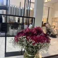 همکاری با ناخنکار ح فه ای