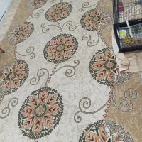 گلیم فرش ۶ متری