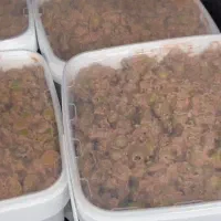 زیتون پرورده درجه ۱