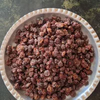 آلوچه جنگی