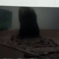 تلویزیون مدل 55..فقط ال سی دی شکسته تازه گرفتم ..