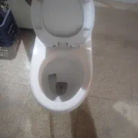 فرنگی سالم