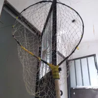 تور کفتر