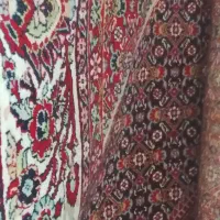 فروش قالی 12متری ماشینی1200 شانه دست دوم