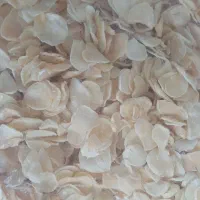 پودر سیر، و سیر اسلایسی یا چیپسی خانگی