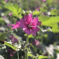 سرمایه گذاری در تولید