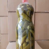 خیارشورعالی