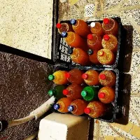 آبغوره تازه خانگی ، ۱۰۰٪ طبیعی