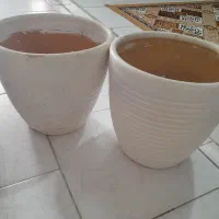 گلدان
