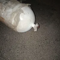 گازcng