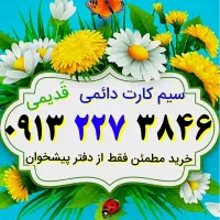 ۰۹۱۳.۲۲۷.۳۸۴۶