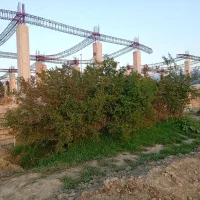 زمین داخل بافت یساقی خیابان باشگاه
