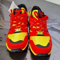 zx 8000