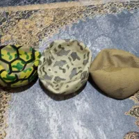 توپ