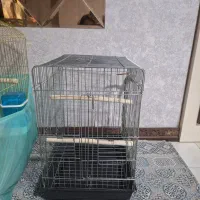 قفس عروس