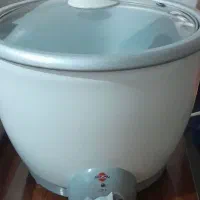 پلوپز برقی