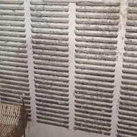 کولرابی ۷هزار ابسال