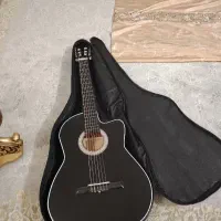فروش گیتاردیاموند