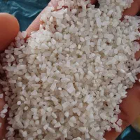 برنج نیم دانه پاکستانی درجه یک