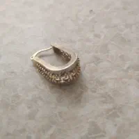 گوشواره طلا گمشده