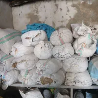 پشم حیوانی