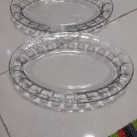 دیس مرغ خوری عینکی پیرکس