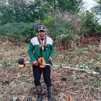 خدمات  چمن زنی علف زنی شمشاد زنی تمشک زنی هرس درخت