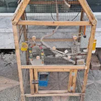 قفس پرنده