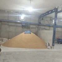 سویا حیوانی برزیل