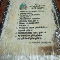 تابلو پوست طبیعی