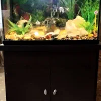 اکواریوم وارداتی