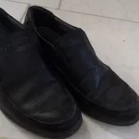 کفش مجلسی