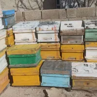 کندوی دست دوم