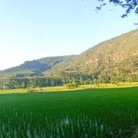 زمین فروشی