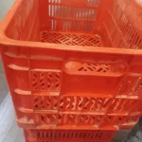 سبد میوه و مرغ